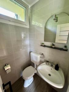 a bathroom with a white toilet and a sink at Csicsergő Zamárdi in Zamárdi