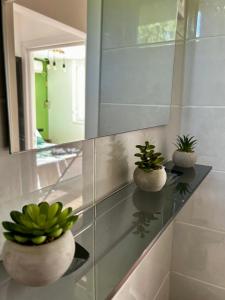 three potted plants sitting on a glass shelf in a bathroom at Csicsergő Zamárdi in Zamárdi