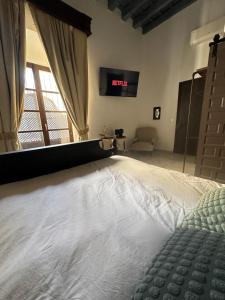 Fotografie z fotogalerie ubytování Casa Jaramago v destinaci Jerez de la Frontera
