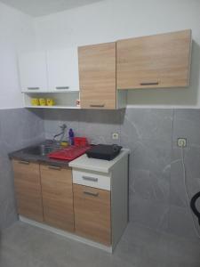 - une cuisine avec un évier et un comptoir dans l'établissement Apartman Vera, à Bileća