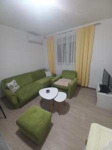Bileća的住宿－Apartman Vera，客厅配有绿色沙发和桌子
