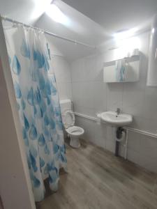 a bathroom with a toilet and a sink at Seoski turizam Ziličina Rogatica in Rogatica