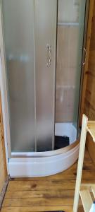 a shower with a glass door in a bathroom at Splav Wake at the lake in Gaočići