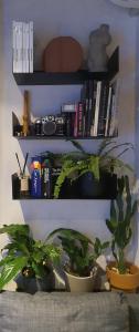 two shelves with plants and books on a wall at City Center Tirana Urban Condo in Tirana