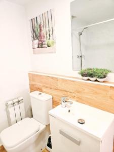 La salle de bains est pourvue de toilettes et d'un lavabo. dans l'établissement Casa del Arquillo, à Teruel