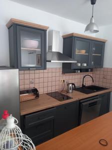 a kitchen with black cabinets and a counter top at Roko Apartments in Selce