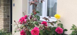Chambre d'hôte "Les Roses de Séné" في Séné: حفنة من الزهور أمام النافذة
