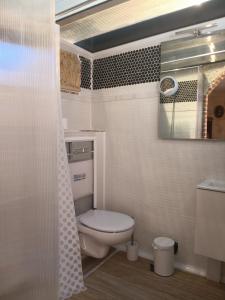 een badkamer met een toilet en een spiegel bij Tiny house in Puebla de Vallbona