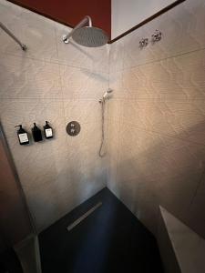 y baño con ducha con cabezal de ducha. en Casa Jaramago en Jerez de la Frontera