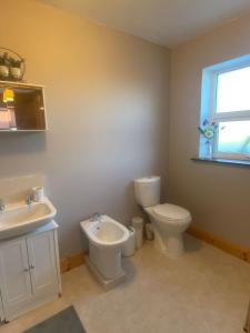 a bathroom with a toilet and a sink at Kilmore Beach Apartment in Tralee