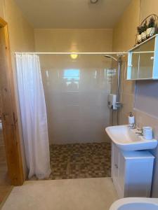 a bathroom with a shower curtain and a sink at Kilmore Beach Apartment in Tralee