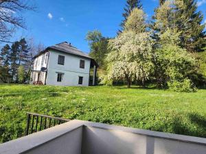 an old white house on a green field at Starlight in Kolašin