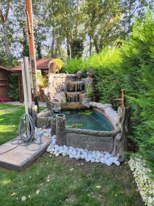 a small pond in a yard with a fountain at Refugiul Rustic in Arad