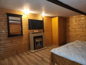 um quarto com uma cama, uma televisão e uma lareira em Refugiul Rustic em Arad
