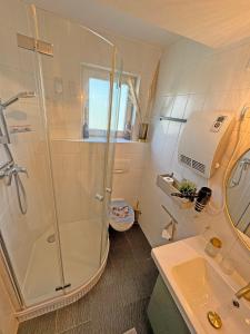 a bathroom with a shower and a sink at Meerblick Apartment Bünning in Kalifornien