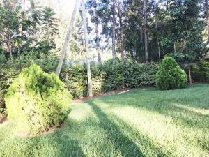 un patio con césped verde, arbustos y árboles en Summer Homes Bungoma, en Bungoma