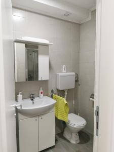Lada في Pasuljište: حمام مع حوض أبيض ومرحاض