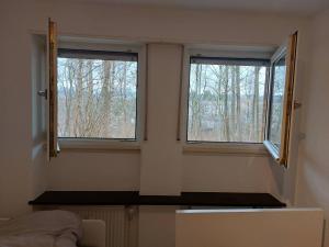 - une chambre avec deux fenêtres et un lit dans l'établissement L8 Street - Mühlacker, à Mühlacker