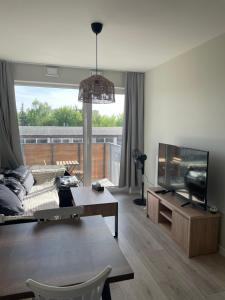 TV a/nebo společenská místnost v ubytování Cosy new apartment with Netflix