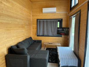 ein kleines Wohnzimmer mit einem Sofa und einem TV in der Unterkunft Kaktüs tiny house in Dalaman