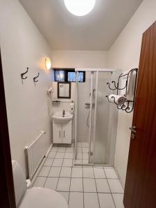 ein Bad mit einer Dusche, einem WC und einem Waschbecken in der Unterkunft Hotel Skógá by EJ Hotels in Skógar