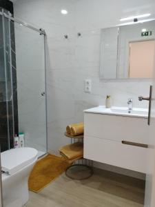 a bathroom with a toilet and a sink and a shower at Alojamento Andorinhas in Senhora da Hora