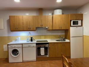 cocina con lavadora y fregadero en Apartamento Pineta en Bielsa