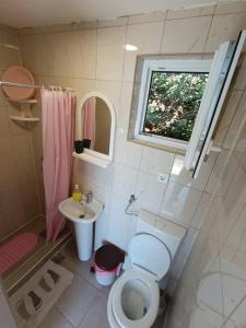Baño pequeño con aseo y lavamanos en Apartments Eftimov en Tivat