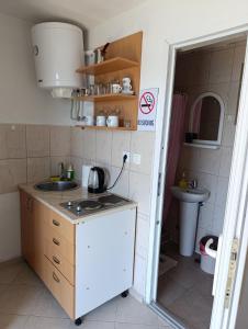 una pequeña cocina con lavabo y aseo en Apartments Eftimov en Tivat