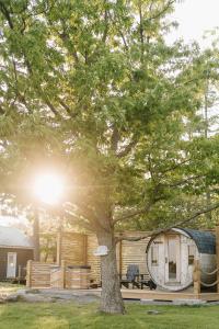 Billede fra billedgalleriet på The Trace at Oak Lake (19+) i Havelock