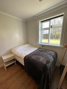 niewielka sypialnia z łóżkiem i oknem w obiekcie Reykjavik Urban Escape 2-Bedroom Haven with Private Entrance w Reykjavík