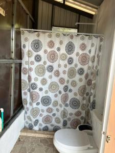 a shower curtain with a toilet in a bathroom at Glamping La Mardo in Cartago