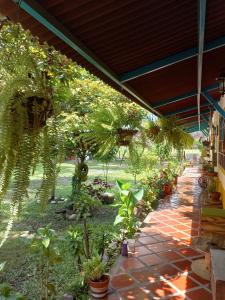 a patio with a bunch of plants and trees at Casa campestre Villa sofia in Utica