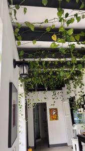 Foto sihtkohas Santa Marta asuva majutusasutuse Casa Ines galeriist