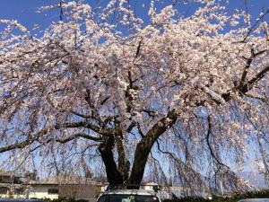 Fotografie z fotogalerie ubytování 乗鞍高原の宿テンガロンハットB&BTengallonhat v destinaci Macumoto