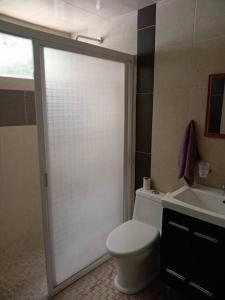 La salle de bains est pourvue d'une douche, de toilettes et d'un lavabo. dans l'établissement Loft Santa Rosa, à Apizaco