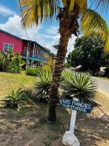 a sign in front of a palm tree next to a street at Los Mangoes in Hopkins