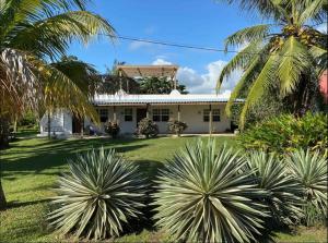 una casa con palmeras delante en Los Mangoes, en Hopkins