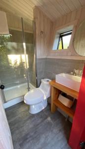 uma casa de banho com um WC, um chuveiro e um lavatório. em Mini Cabaña con Tinaja em Máfil