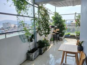 uma varanda com uma mesa e vasos de plantas em Duc Hanh Apartment em Da Nang