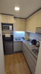 Küche/Küchenzeile in der Unterkunft Apart Lyon Suite
