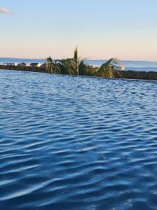 ein großer Wasserkörper mit Bäumen im Hintergrund in der Unterkunft Villa Porta Novalja in Novalja