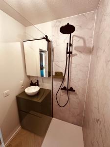 een badkamer met een douche met wastafel en spiegel bij Studio Duinenzicht in Koksijde