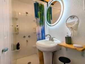 La salle de bains est pourvue d'un lavabo, d'une douche et d'un miroir. dans l'établissement WeebiII, à La Nouvelle-Orléans