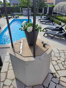 Bazén v ubytování Villa Grace Felice nebo v jeho okolí