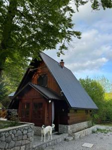 a dog standing in front of a wooden cabin at Kuća za odmor "Med Strmci" in Zlobin