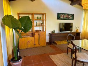 ein Wohnzimmer mit einem Tisch und einer Topfpflanze in der Unterkunft Villa Olea in SantʼEllero
