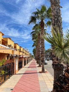 een stoep met palmbomen op een straat bij Nice 3 bedroom Duplex Cabo Roig in Orihuela