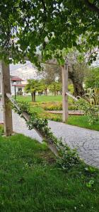迪夫亞卡的住宿－Green Park Divjakë，树枝躺在小径旁的草上