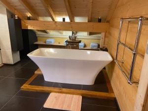 CHALET LUANE près de VALBERG的一间浴室